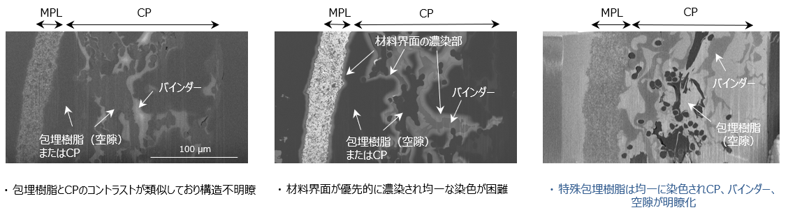 通常樹脂包埋 】 【 通常樹脂包埋＋電子染色 】 【 特殊樹脂包埋＋電子染色 】