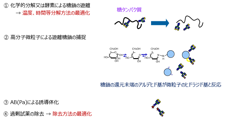 LC-MSを用いた迅速かつ確実な糖鎖構造解析