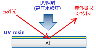 UV硬化樹脂の硬化過程評価