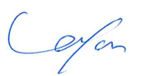 signature yoshinori kataoka