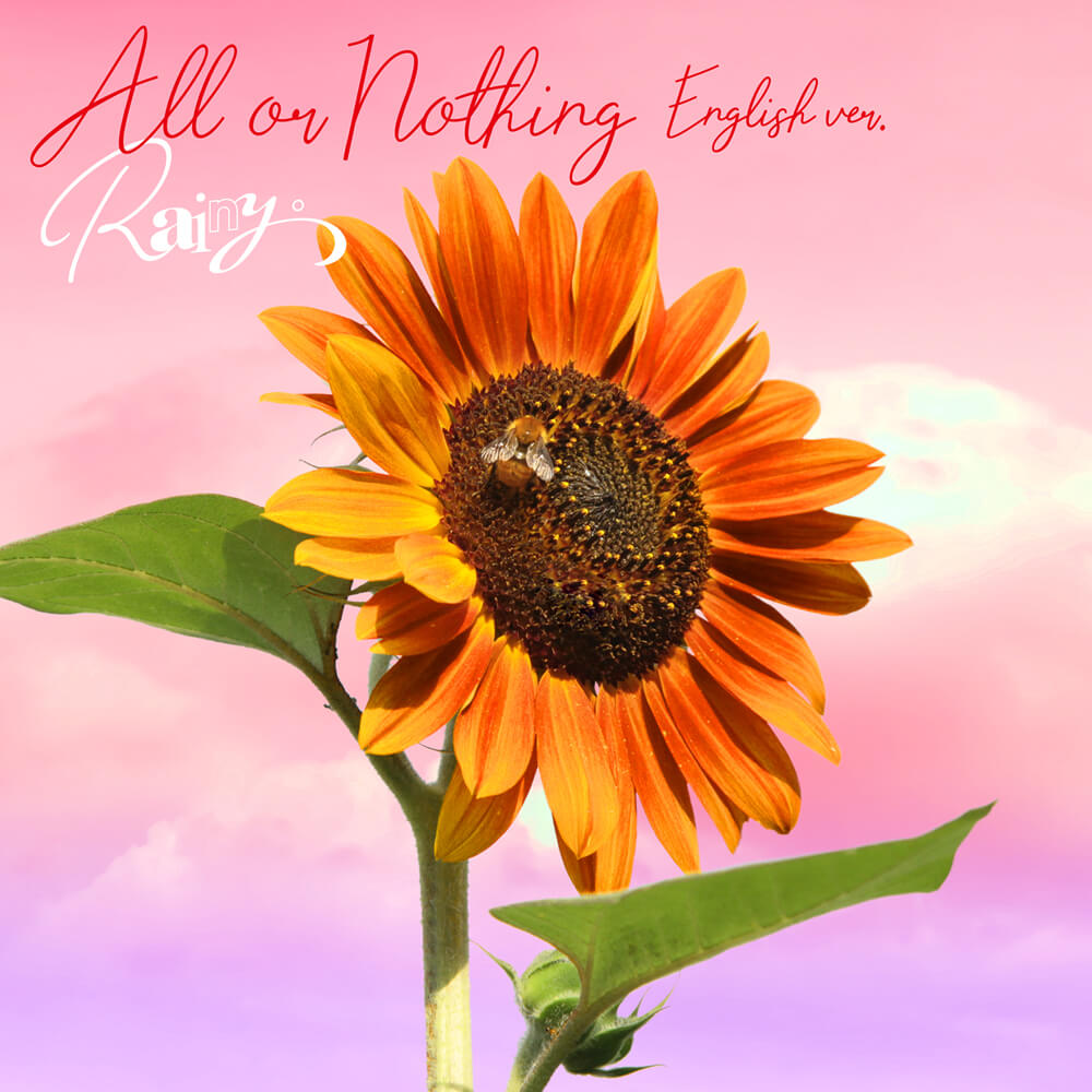 All or Nothing -English ver.-