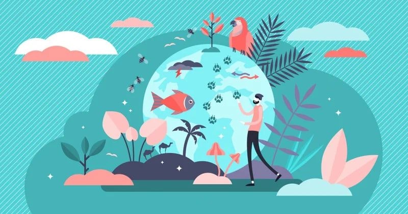 エイトシークエンスはコンテクストで成り立つ生命体