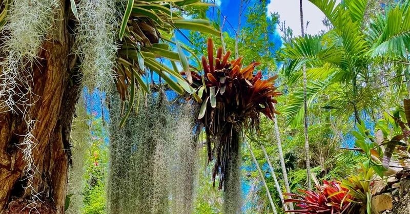 エイトシークエンスを通して創りたいのは生態系