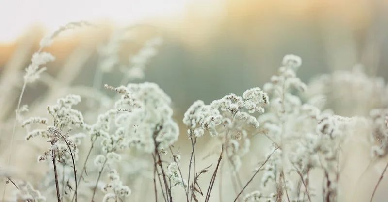 エイトシークエンスは永遠に語り続ける