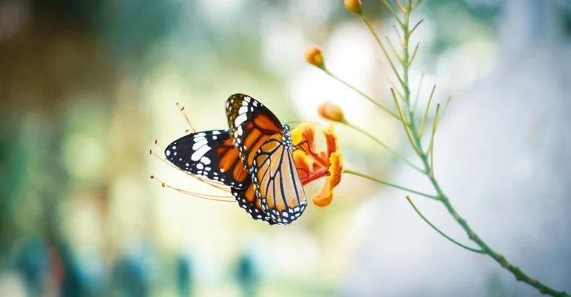 エイトシークエンスのスローガンと込められた想い