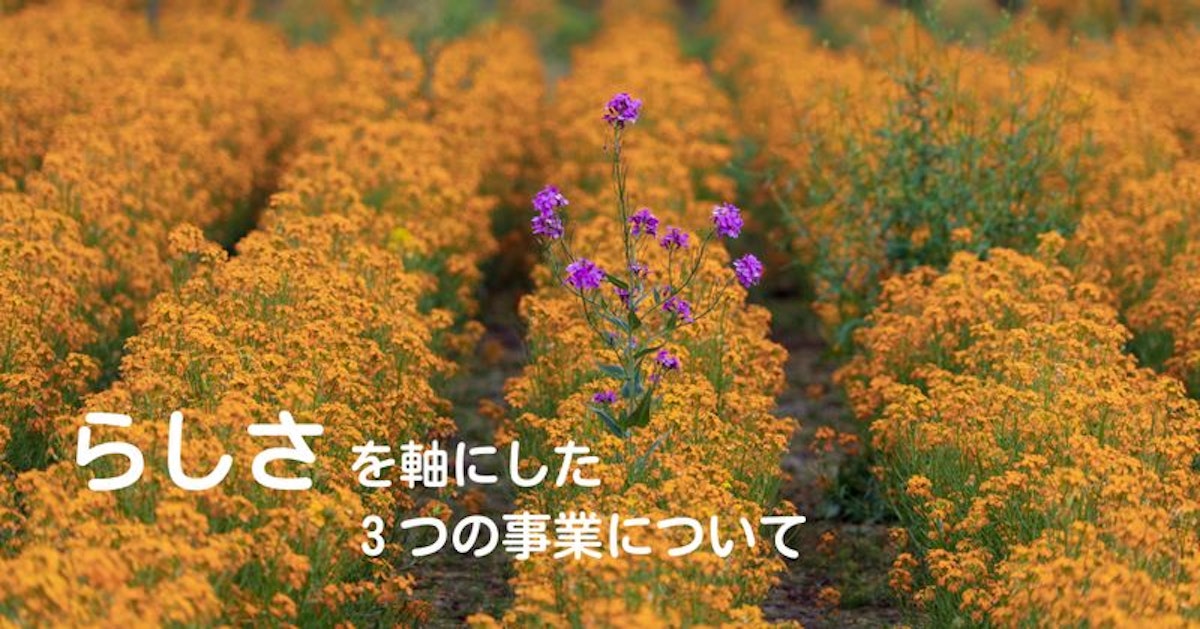 エイトシークエンスが行う3つの事業内容
