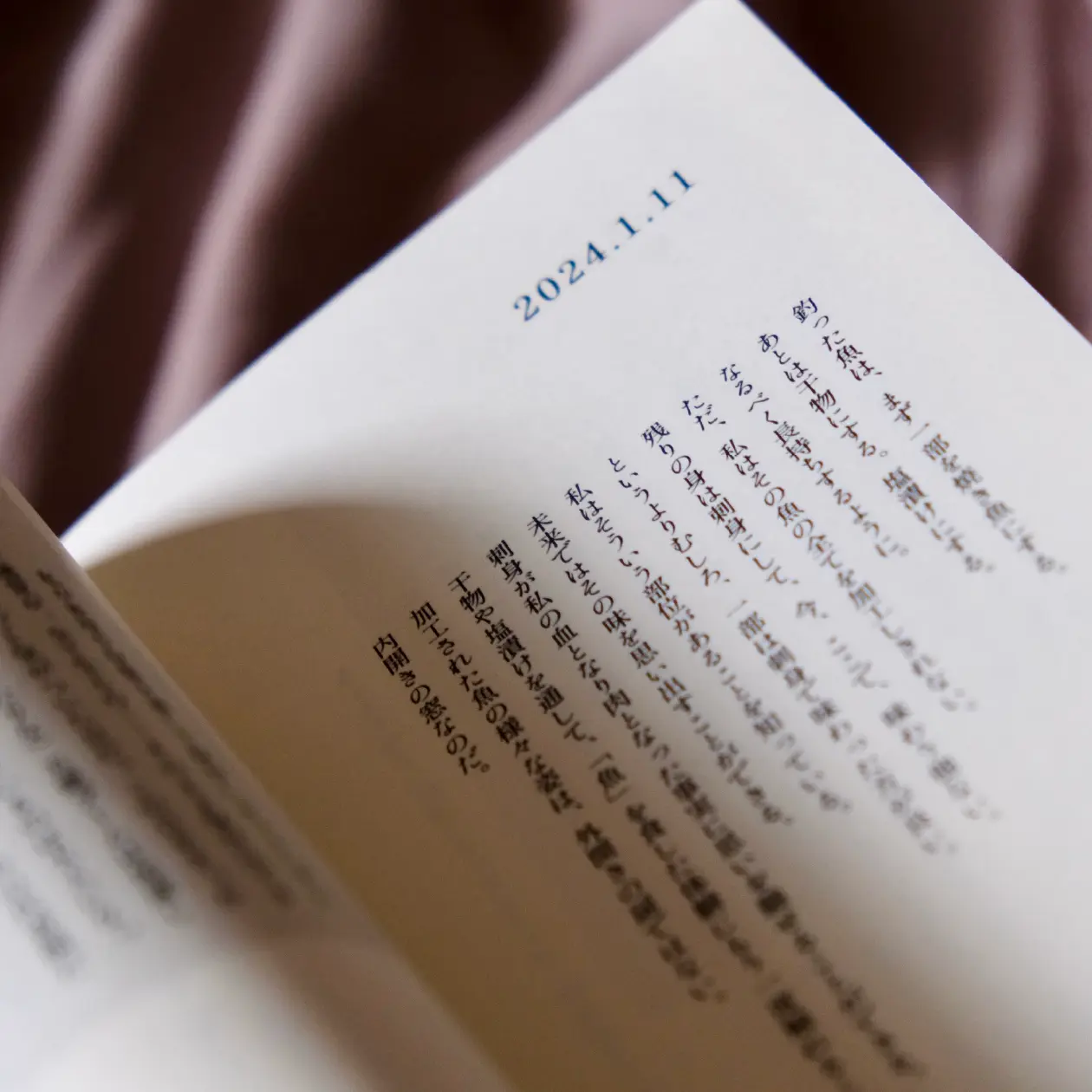 日記集『とっとくハギレ 2024』日記ページの画像。本が開かれており、日記集『とっとくハギレ 2024』に掲載された日記が見える。