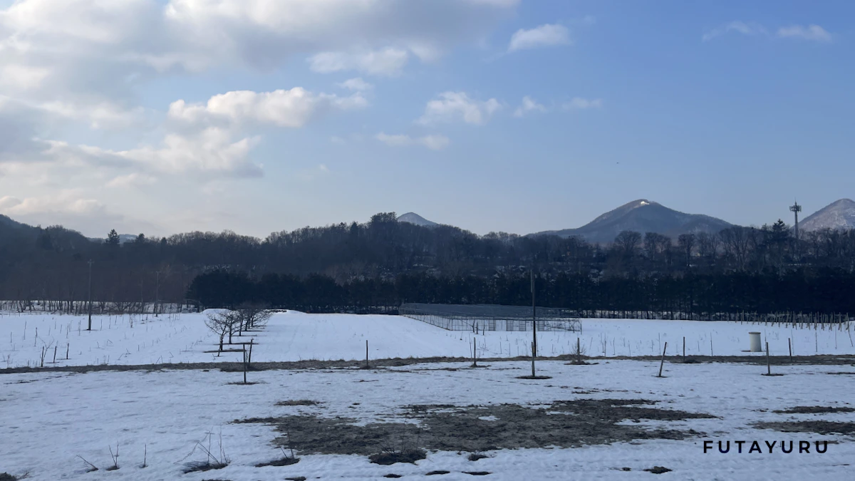 石山の広大な景色