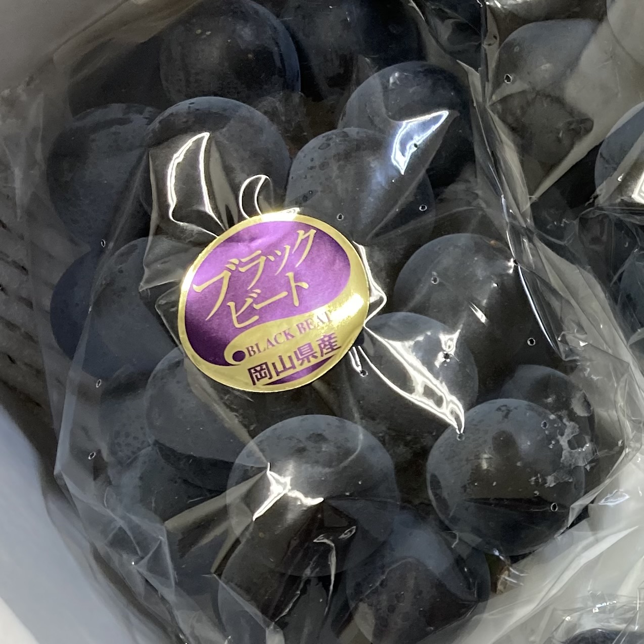 ブラックビート