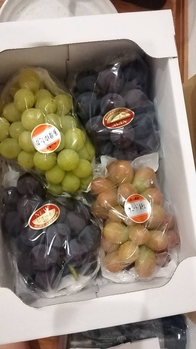 おまかせ【3種ミックス】