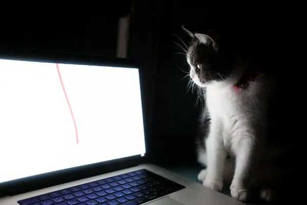 AI活用で中小企業の業務効率化を実現：具体的な事例と成功への道