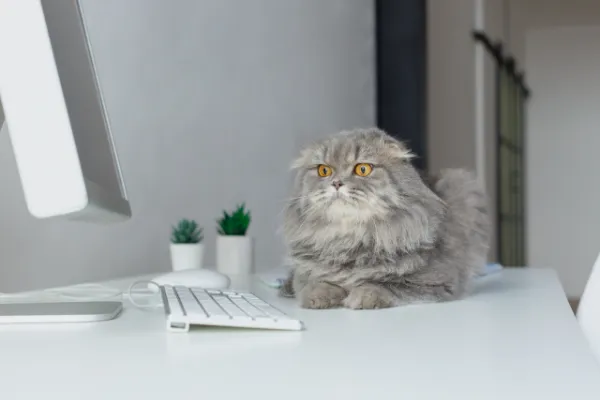 AIで仕事を効率化！デジタルマーケティングにおけるAI活用法