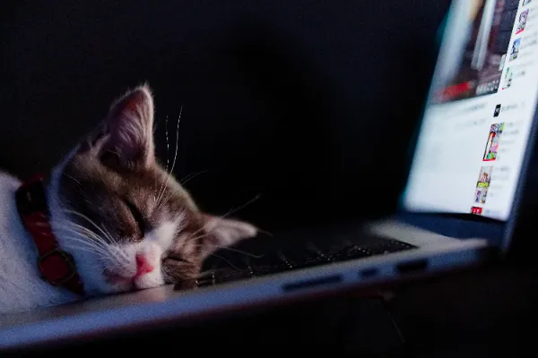 AIで仕事を効率化！デジタルマーケティングにおけるAI活用法②