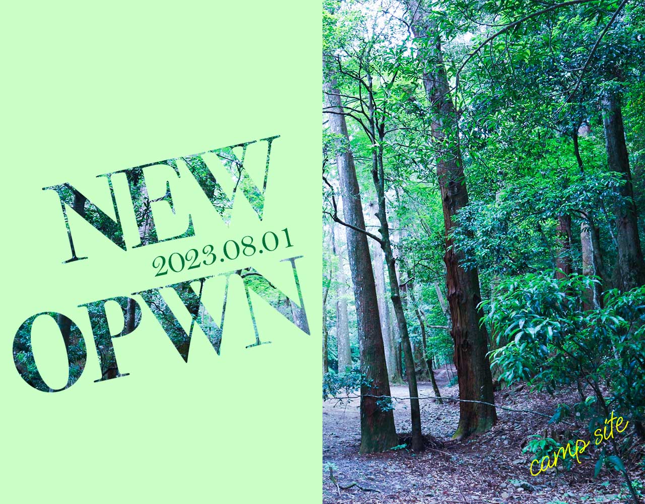 portfolio３１画面