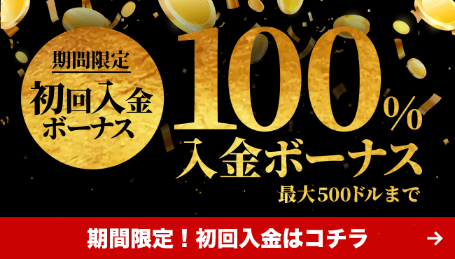 100%ボーナス