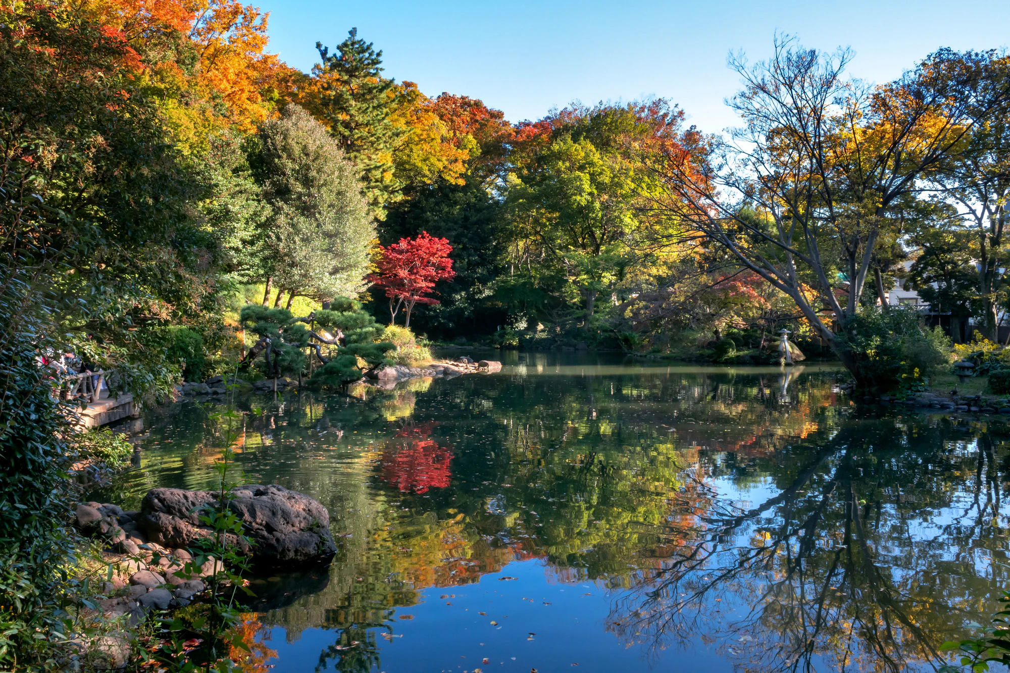 東京都港区の有栖川公園の紅葉