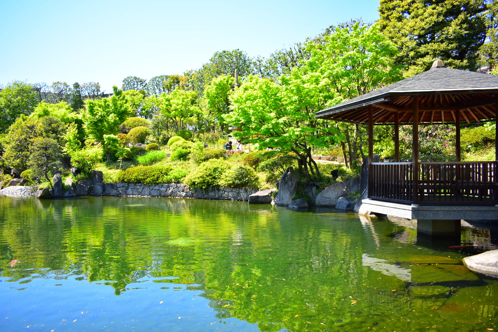 目白庭園