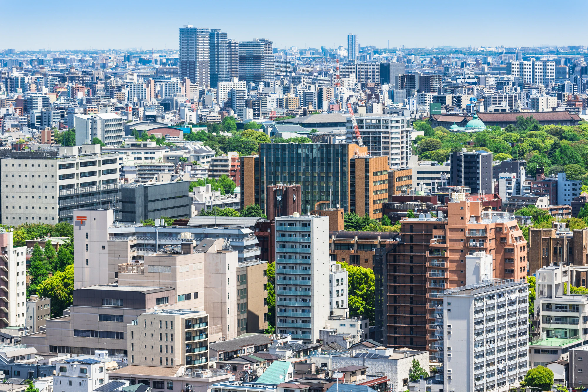 文京区の資産価値はなぜ揺るがないのか？五つの台地が織りなす歴史と語り継がれる邸宅地の記憶