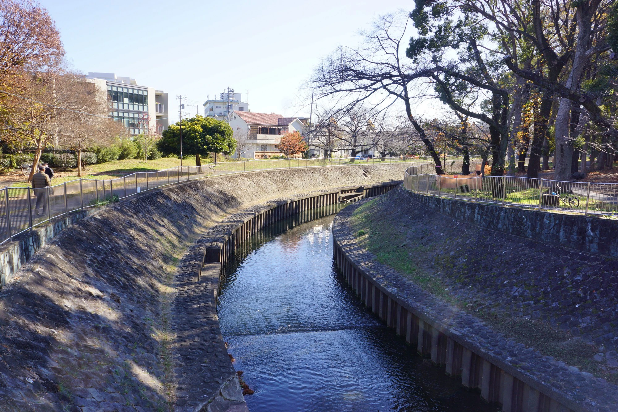 東京都杉並区の善福寺川の天王橋周辺の風景