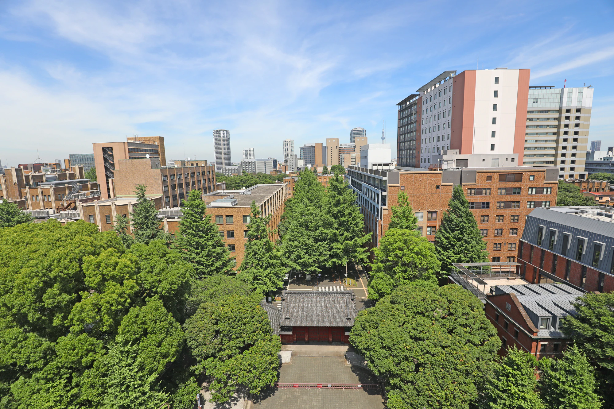 東京大学　本郷キャンパス