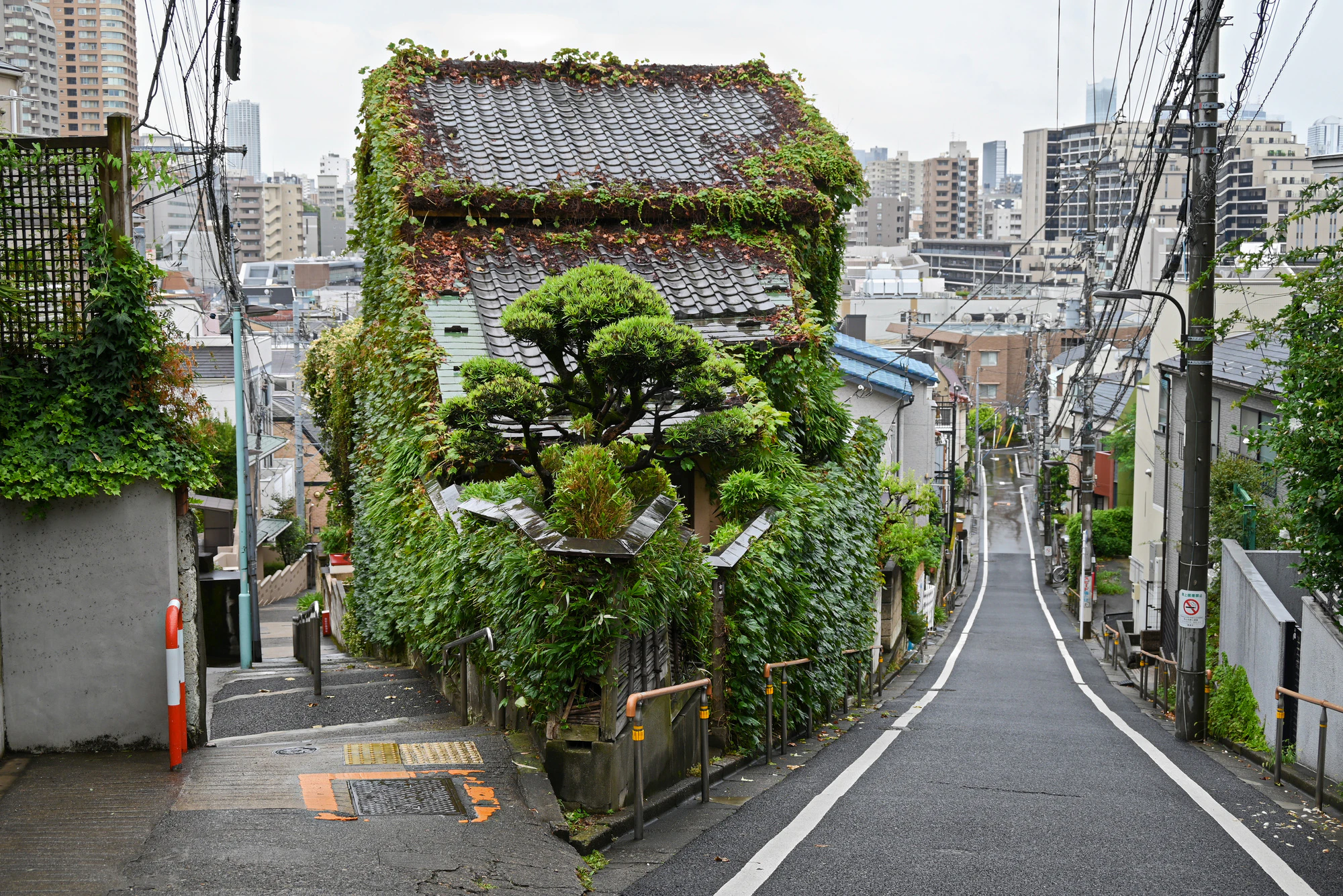 東京の坂道　区境に位置する富士見坂と日無坂【豊島区/文京区】