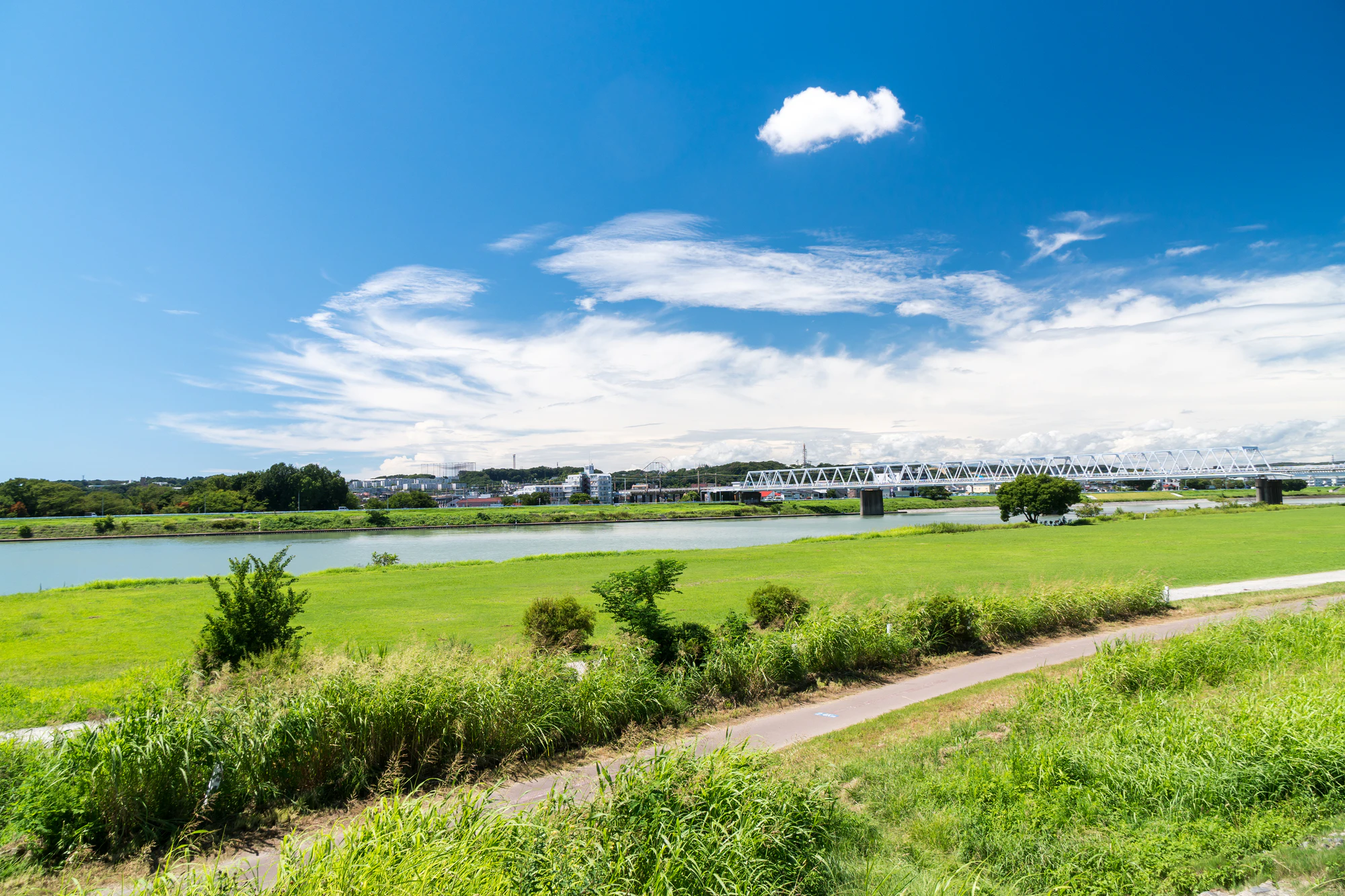 多摩川のサイクリングロードからの景色　京王線鉄橋　散歩　夏の青空　東京都調布市