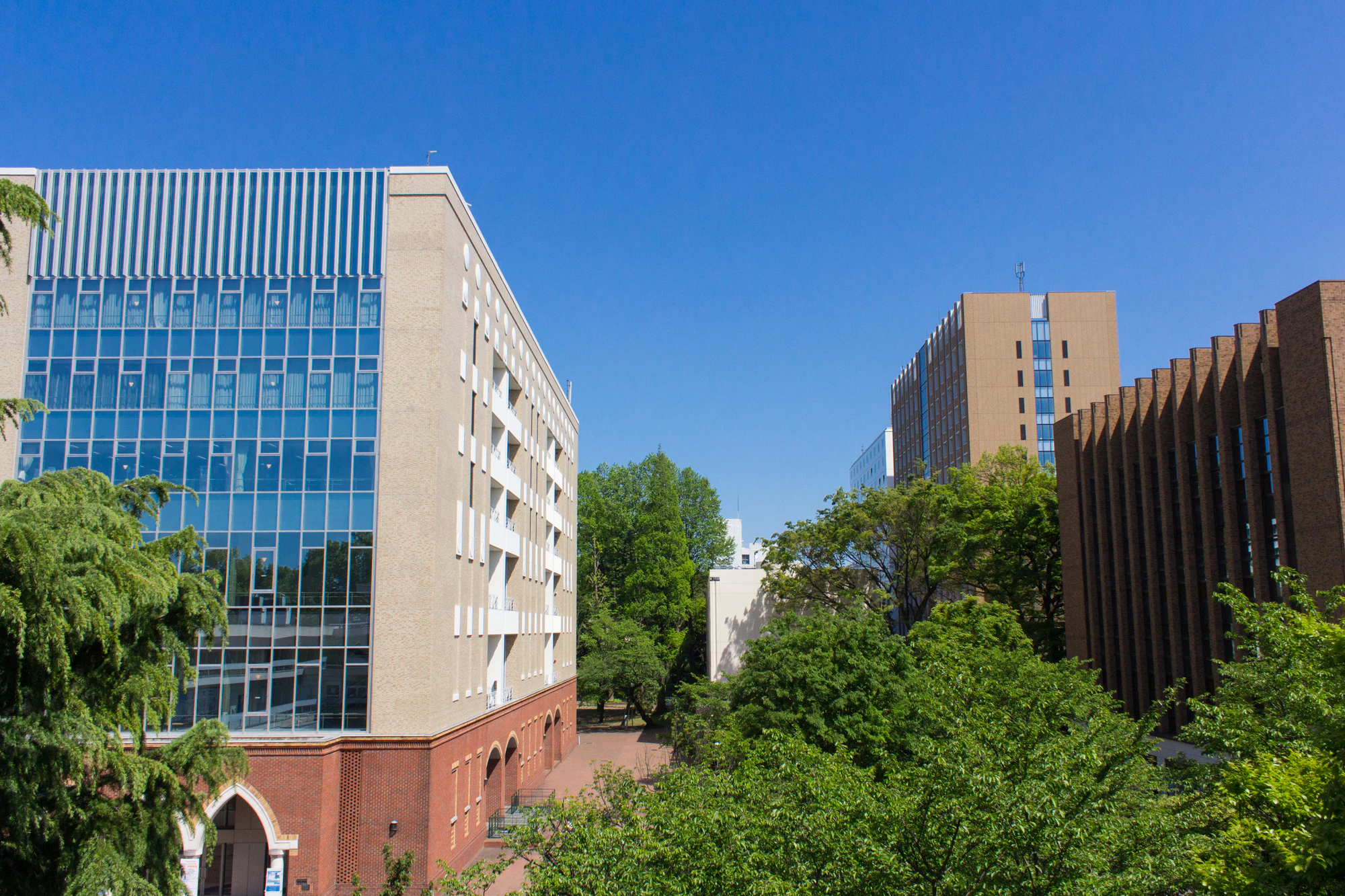 学習院大学、本部