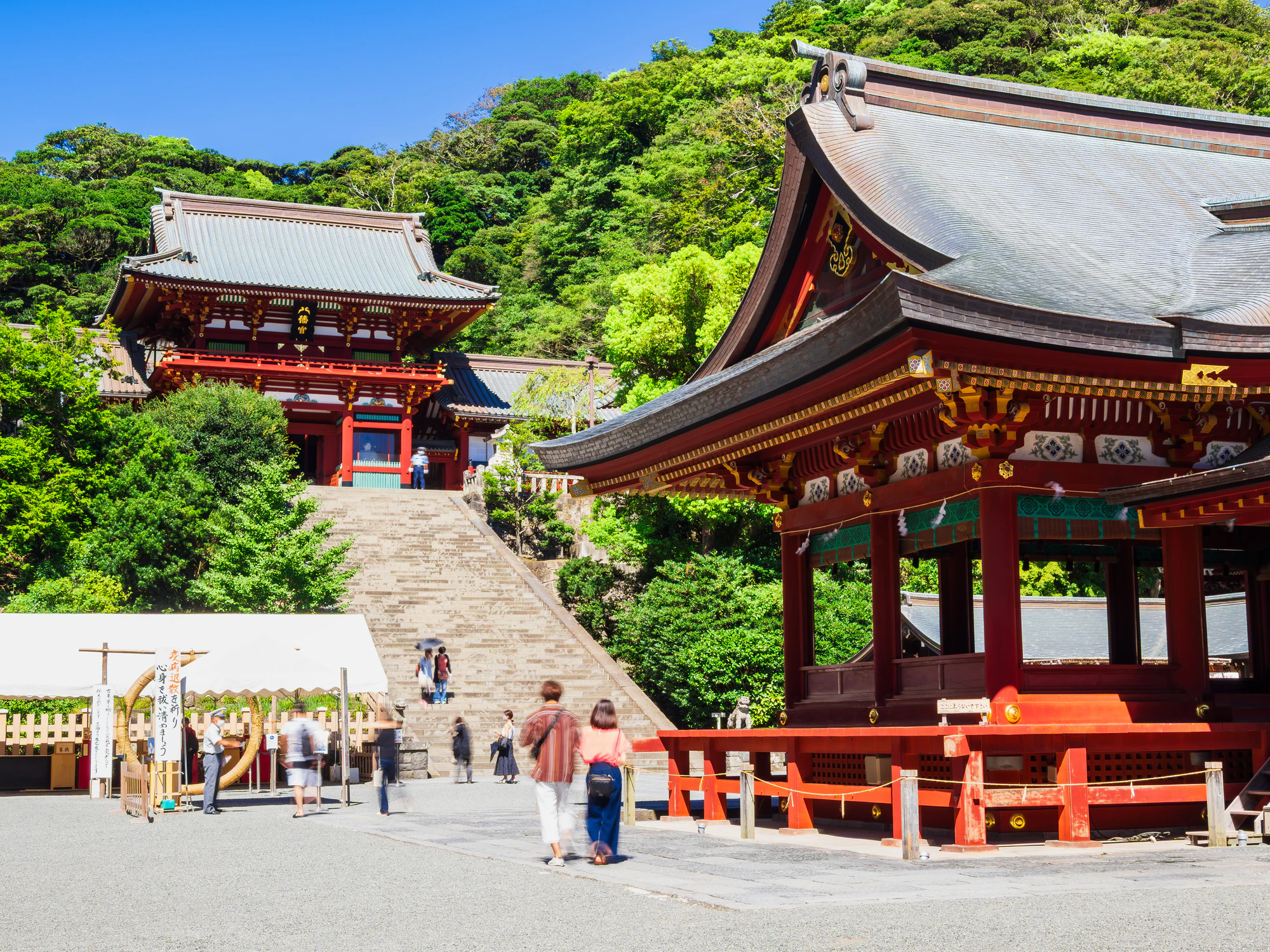 鎌倉　鶴岡八幡宮　本宮と舞殿