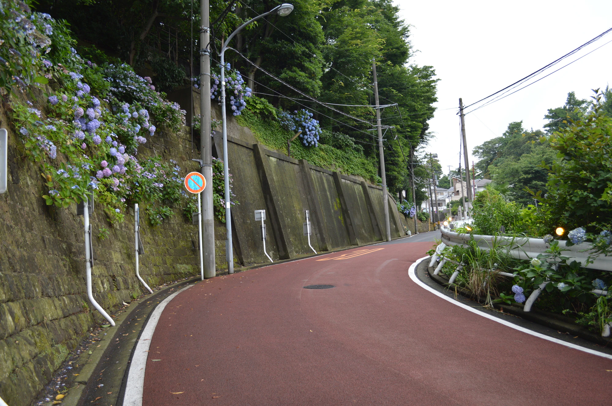 横浜ワシン坂のあじさい