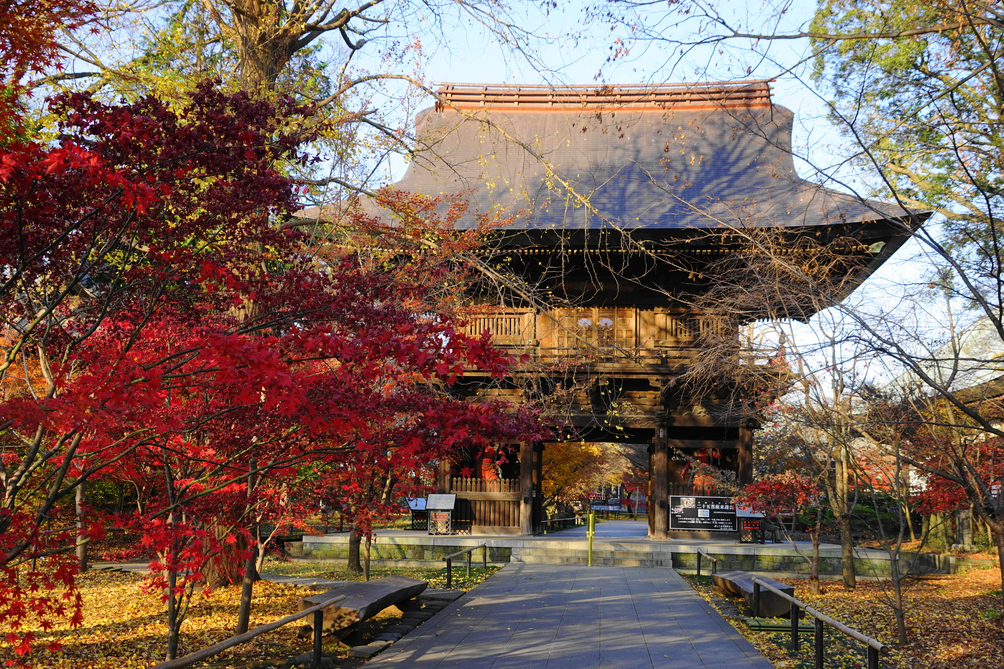 世田谷106紫雲楼と紅葉・九品仏浄真寺