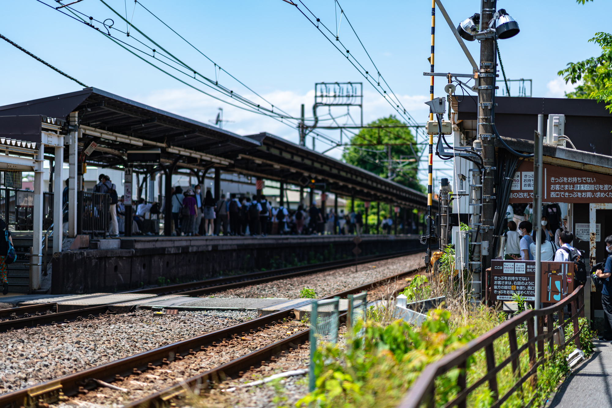 鎌倉の住みやすさを解説！失敗しないための注意点とエリアの選び方