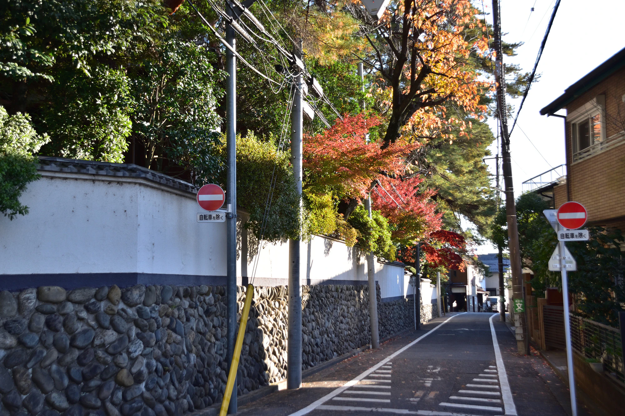 杉並区・荻窪2丁目のお屋敷街の紅葉