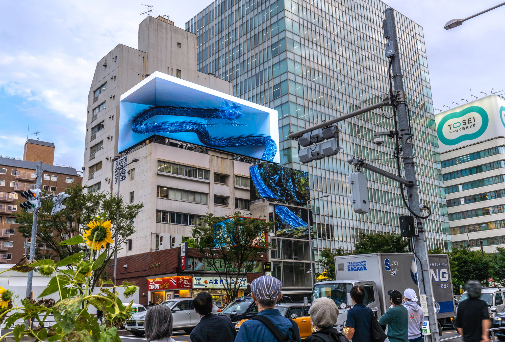 日本の東京都市景観　表参道駅前、青山通りなどの街並みを望む