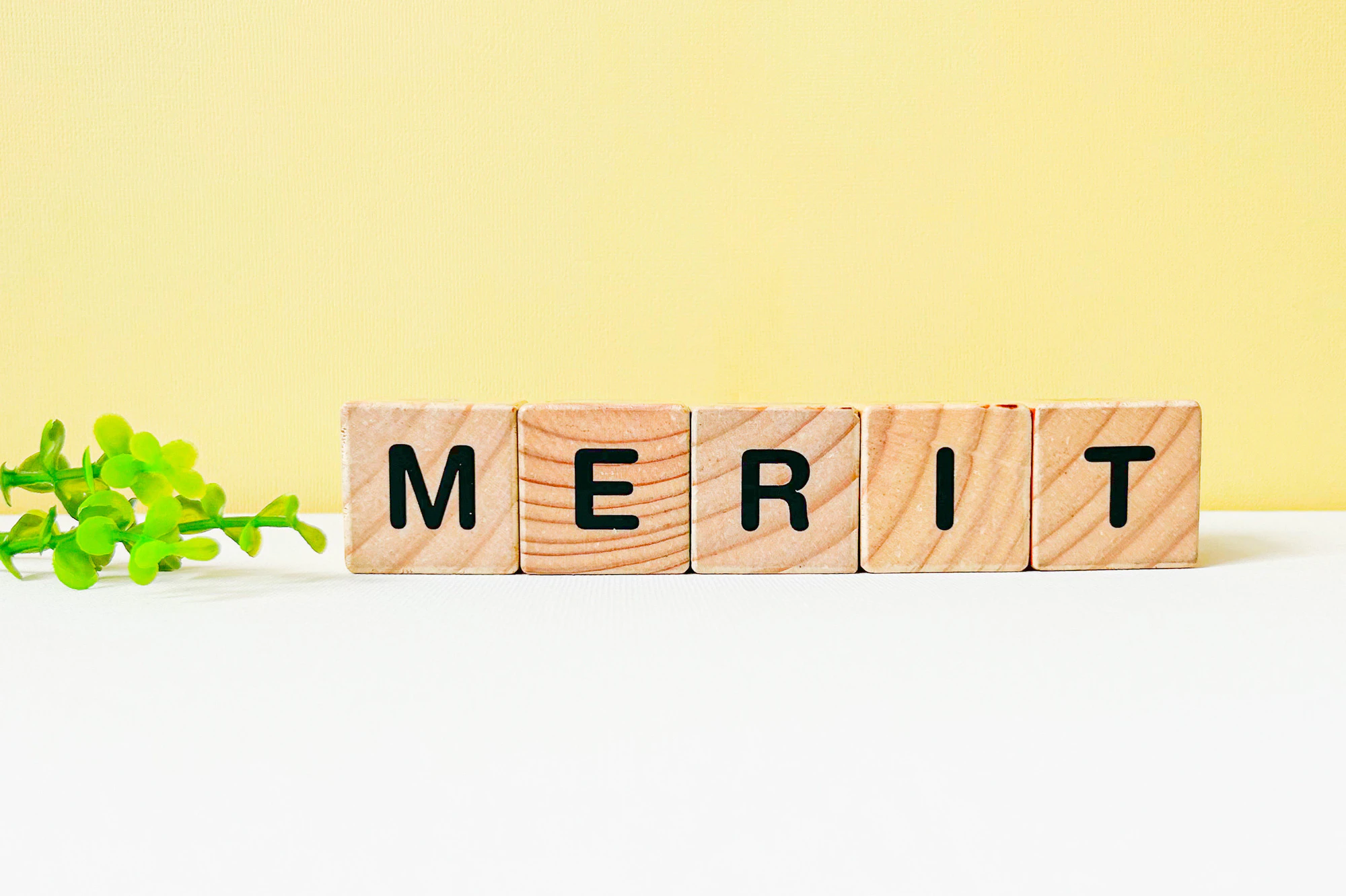 MERIT メリット