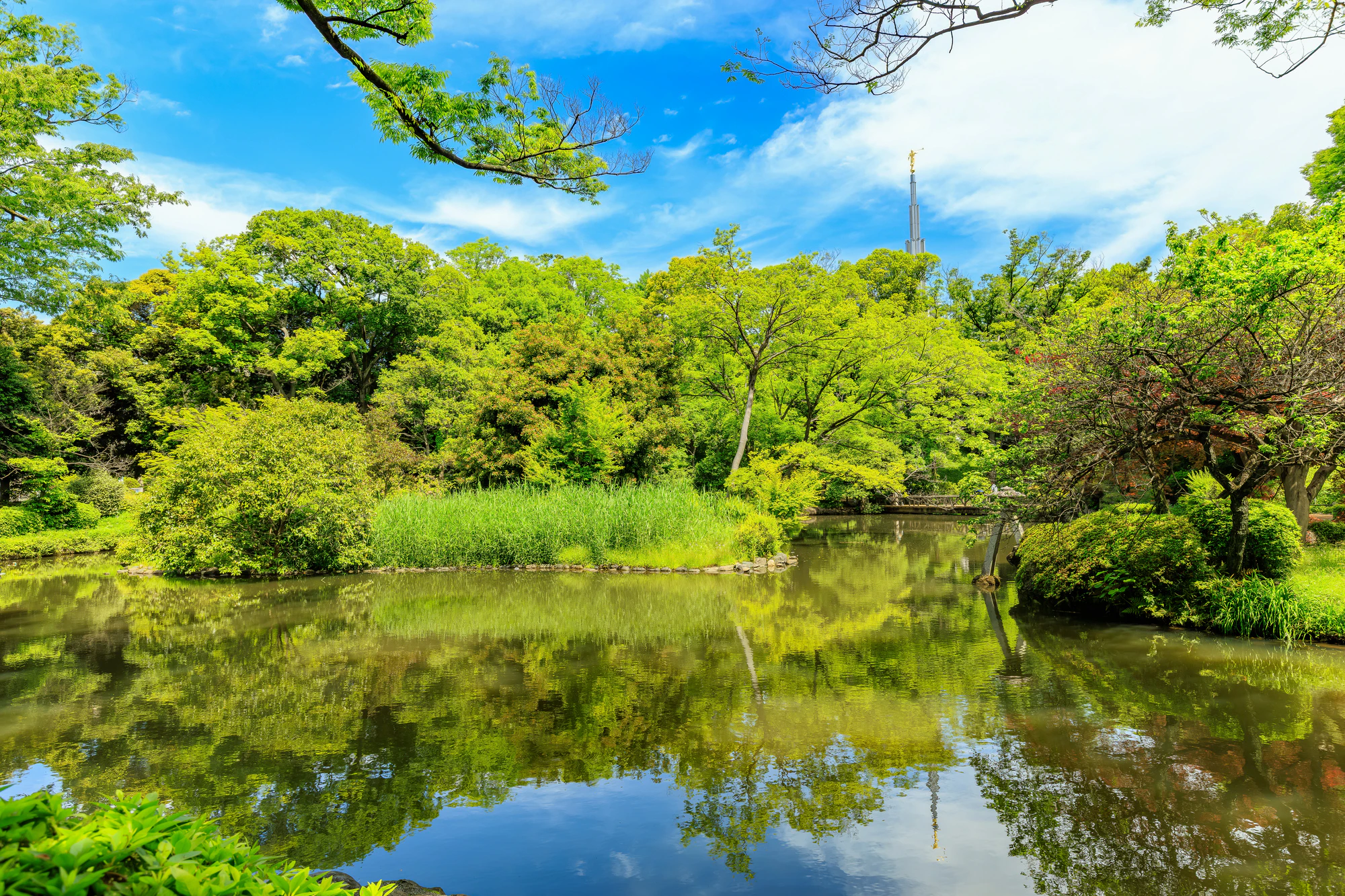 東京　港区　南麻布にある 有栖川宮記念公園