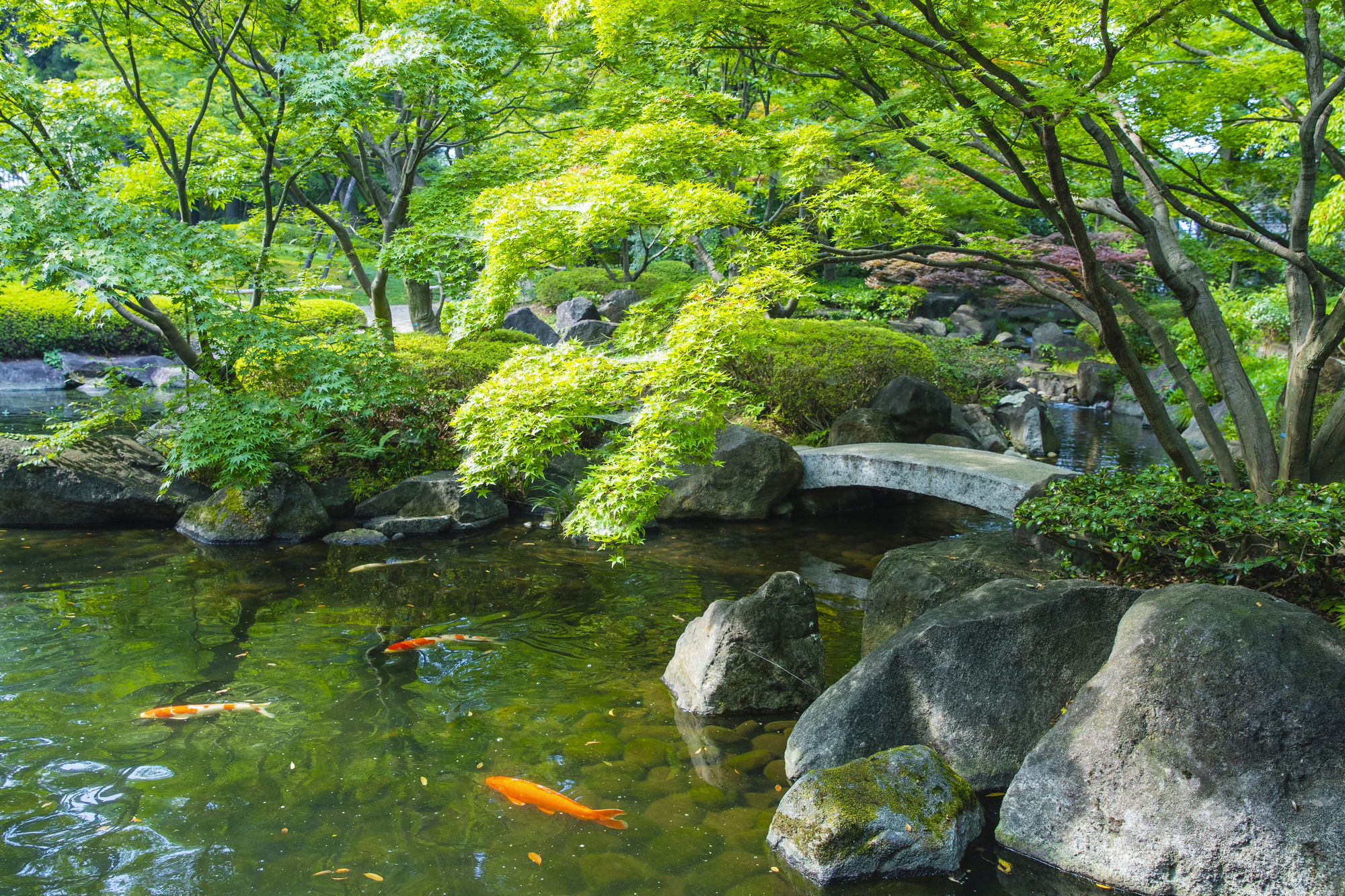 大田黒公園