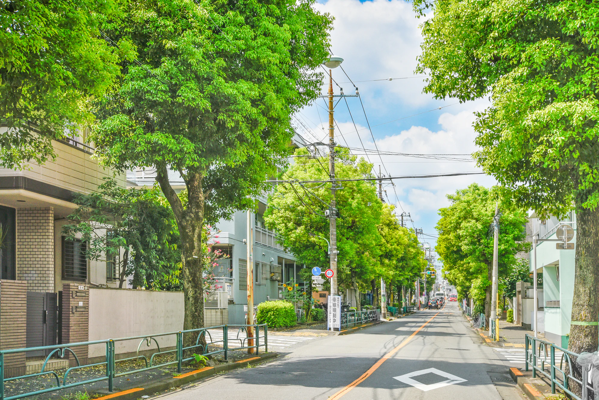 赤堤通り