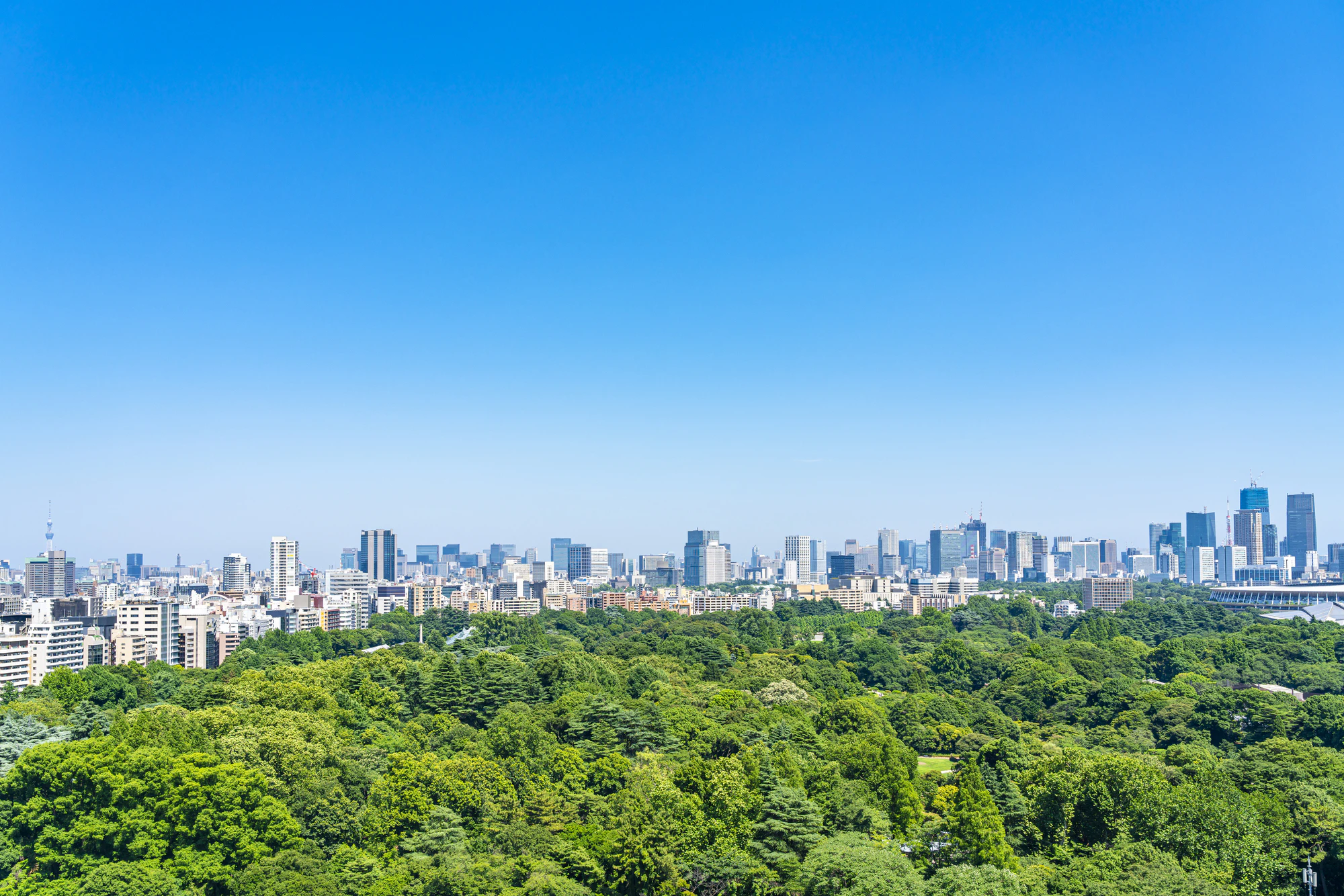 【東京都】新宿から見える新宿御苑と都市風景