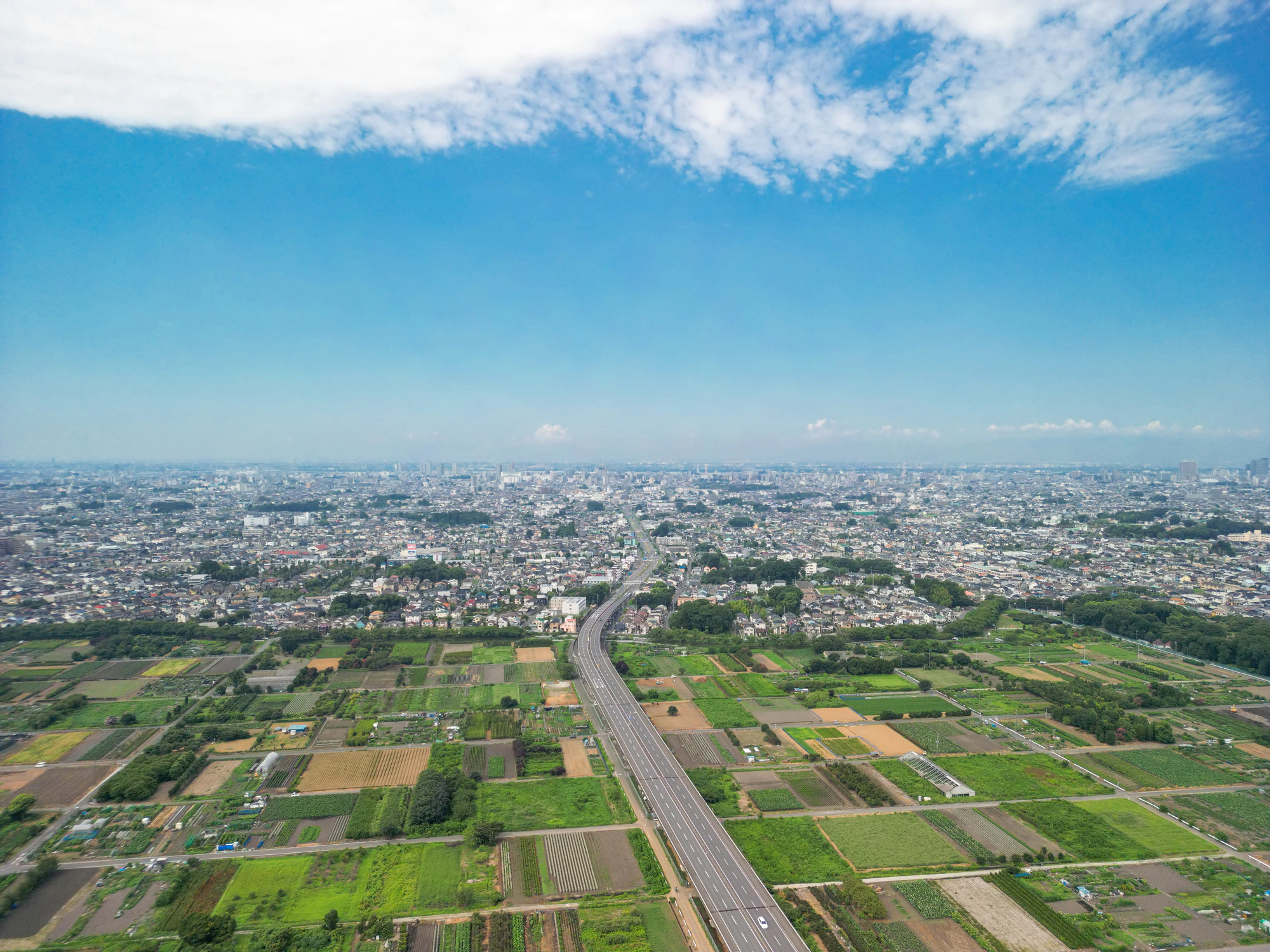 空撮「埼玉県」見沼田んぼと市街地・夏の風景