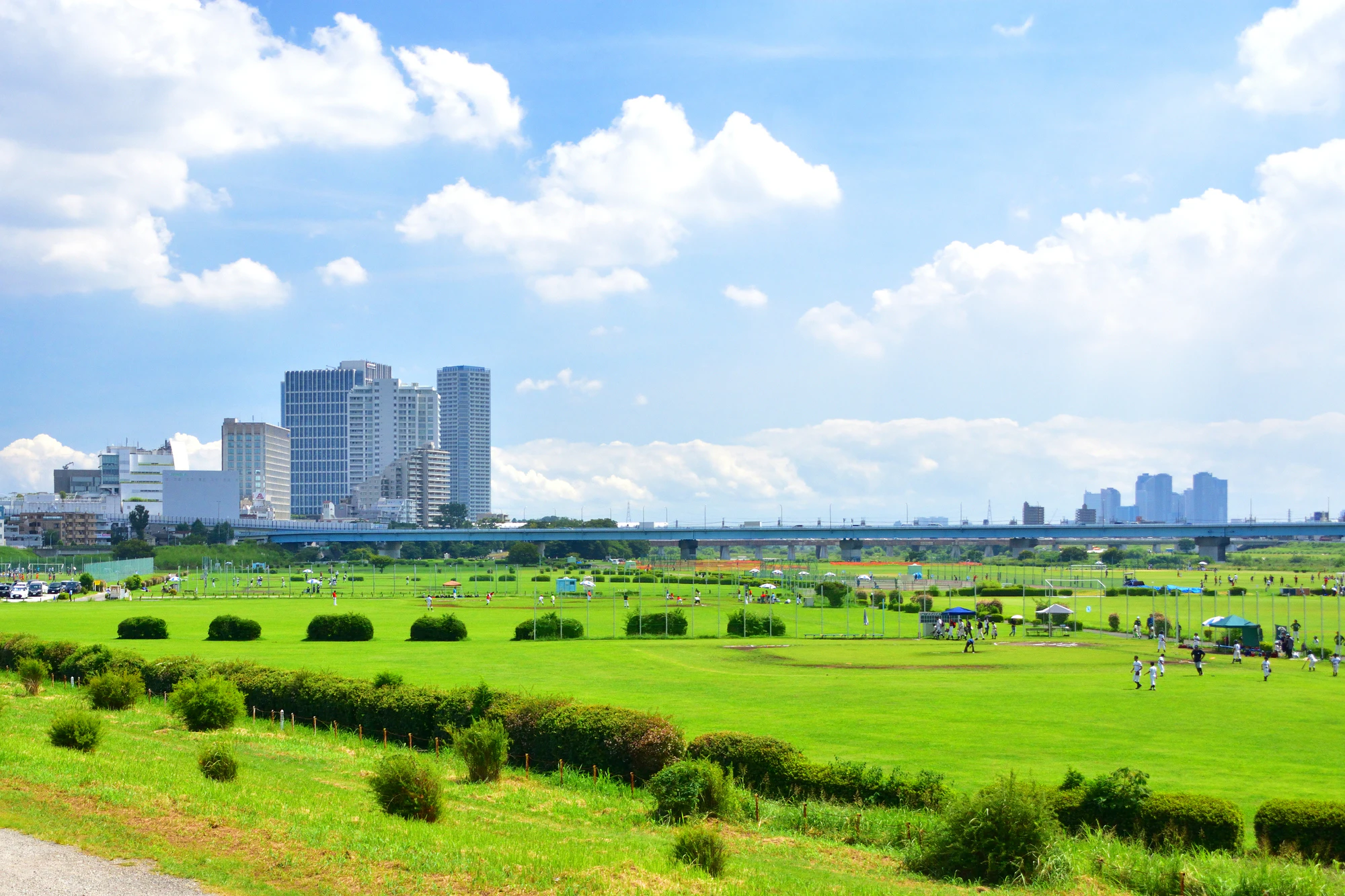 東京都多摩川河川敷からの二子玉川と武蔵小杉の高層ビル風景