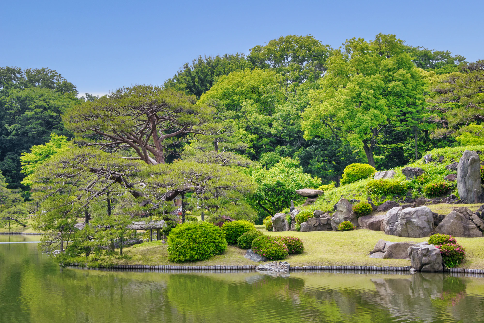東京都　六義園中の島・妹山（いもやま）　特別名勝