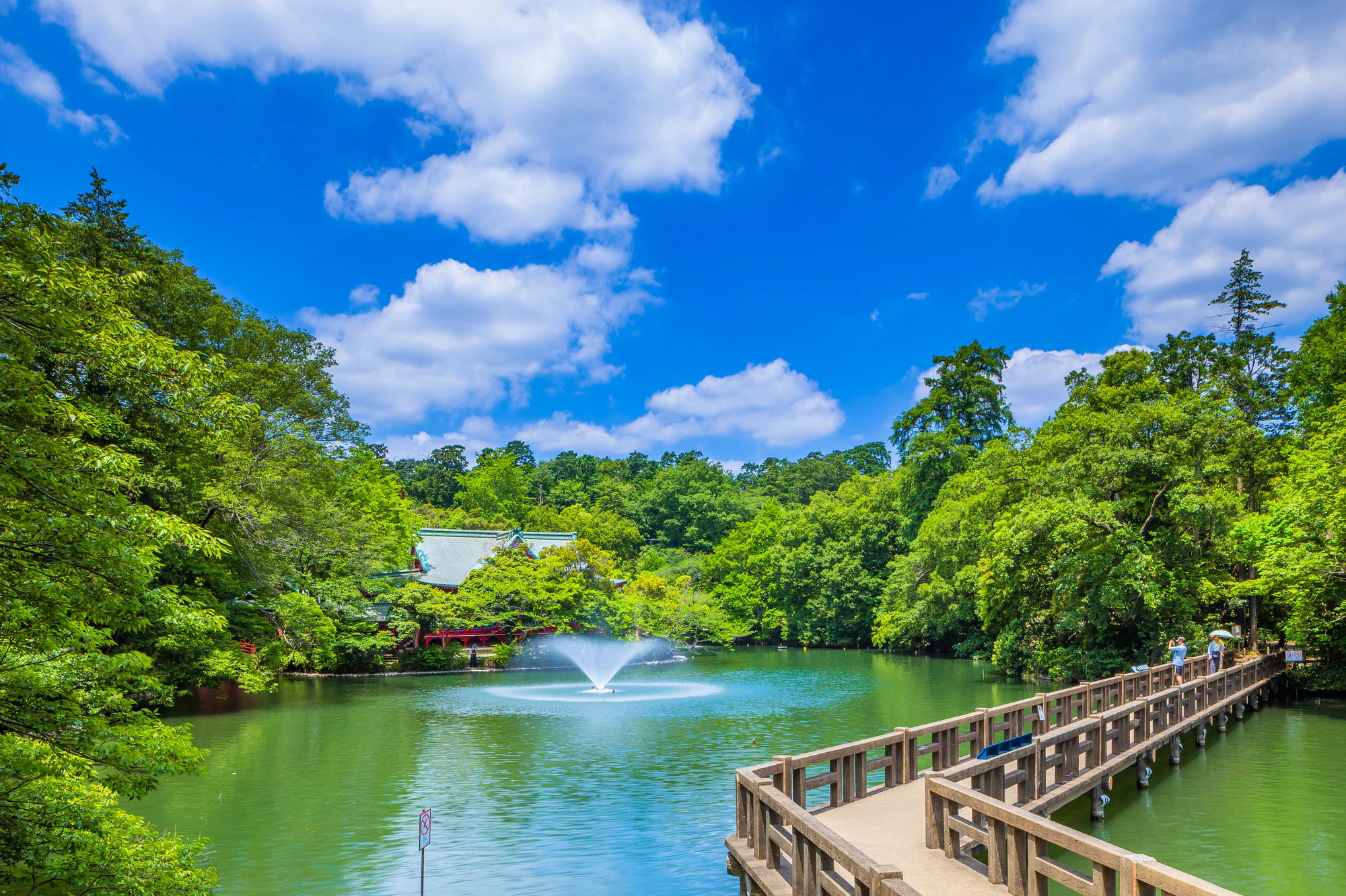 井の頭公園の風景