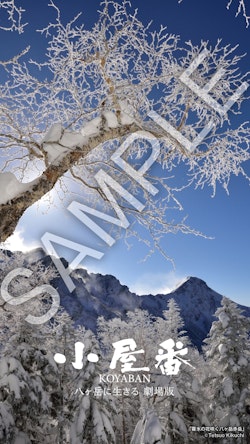 ⼩屋番 ⼋ヶ岳に ⽣きる 劇場版』2026年1⽉9⽇(⾦)全国公開決定