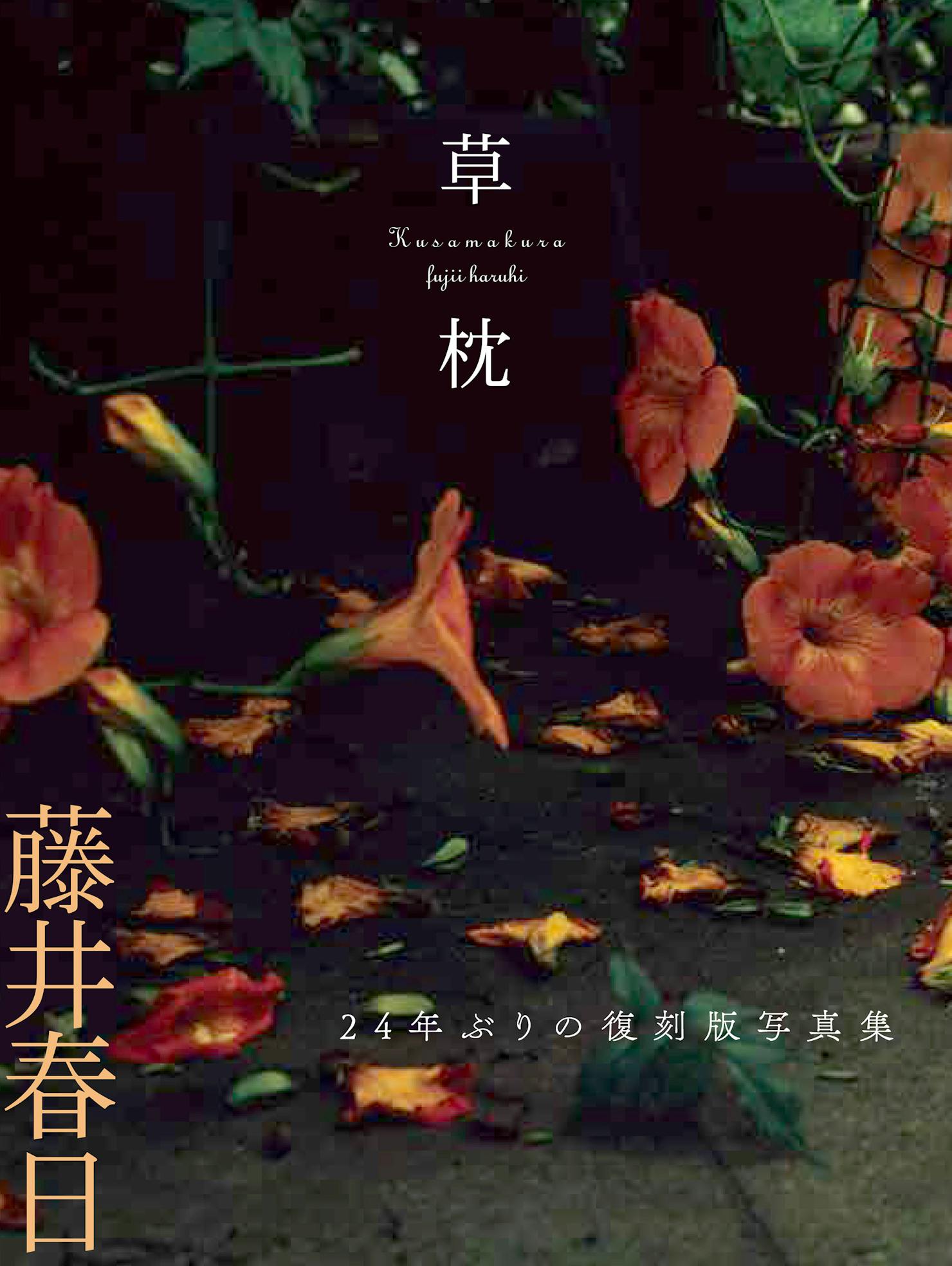 草枕　　24年ぶりの復刻版