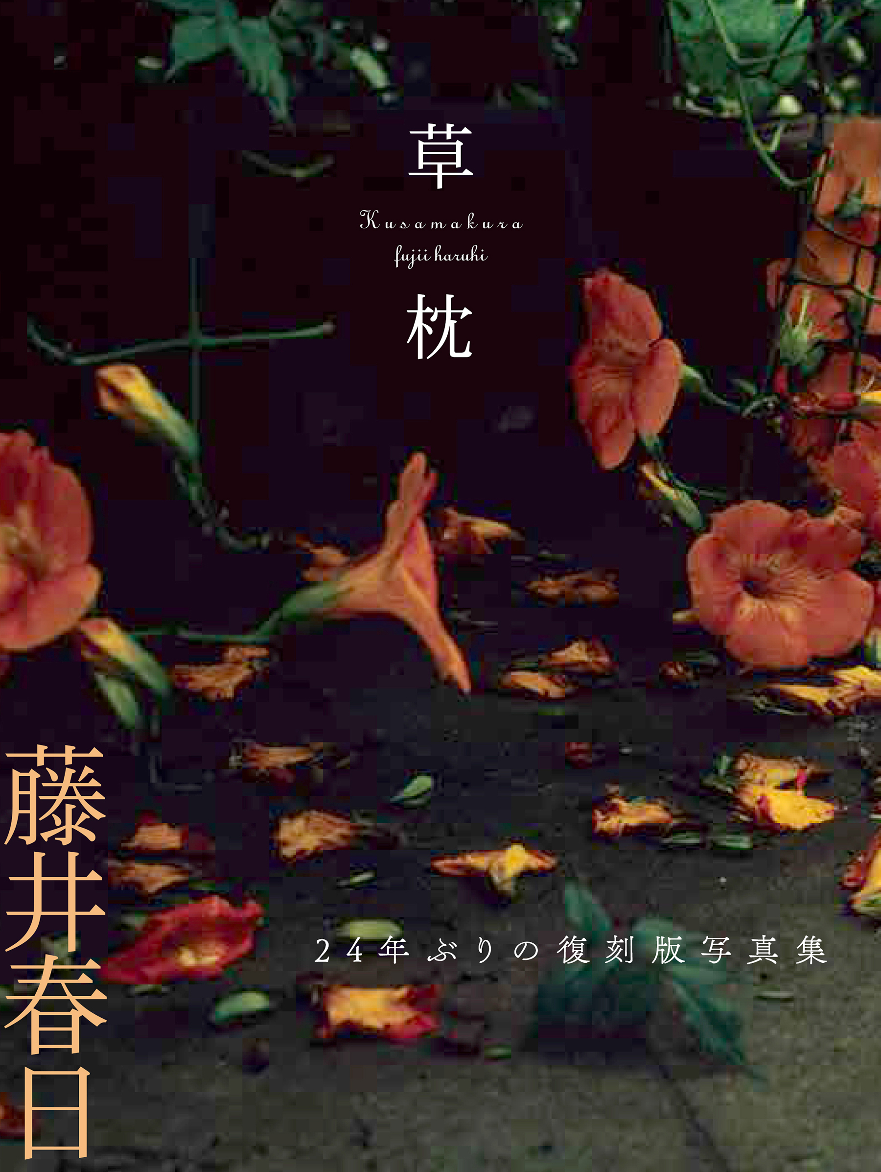藤井 春日 | Haruhi FUJII