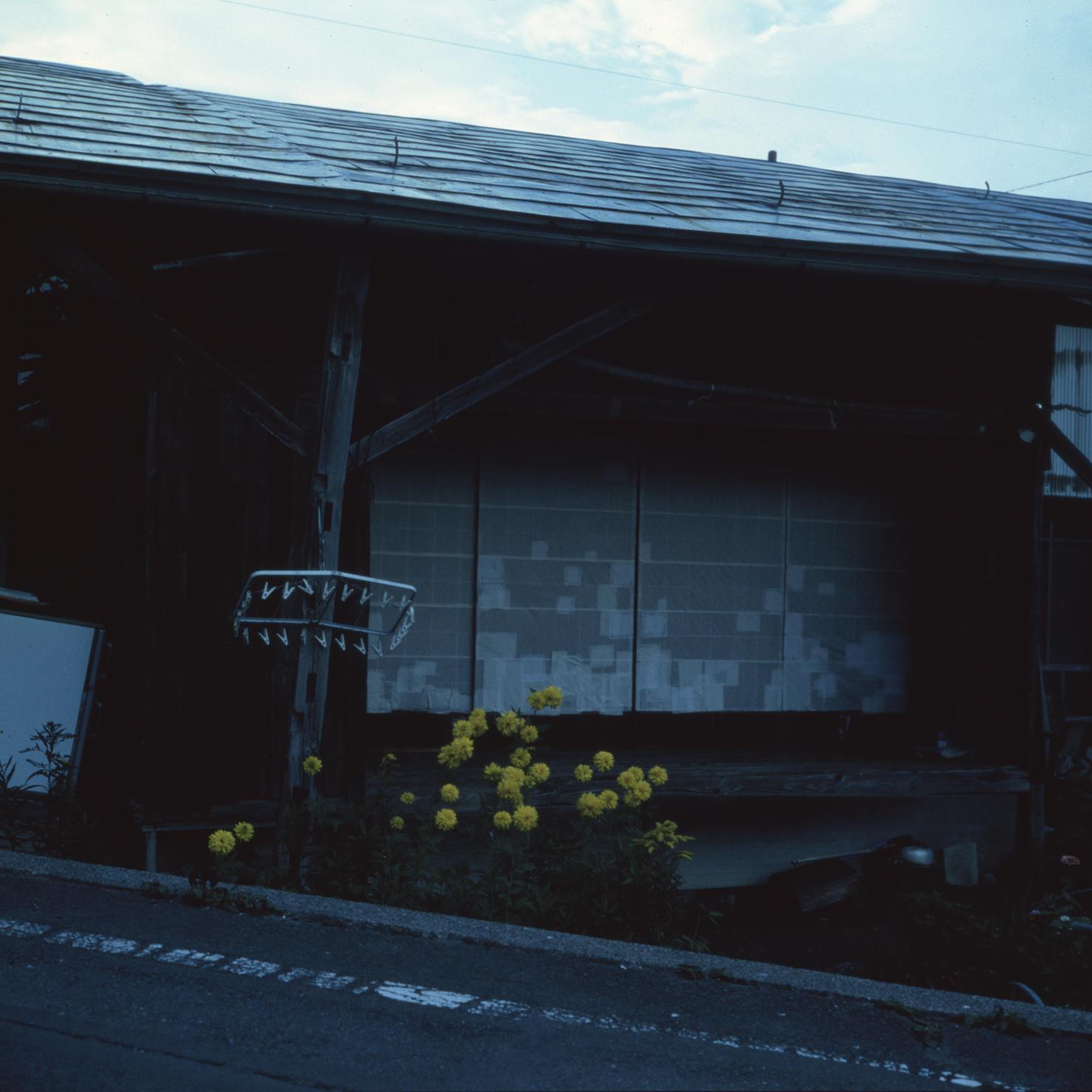 草枕
Kusamakura