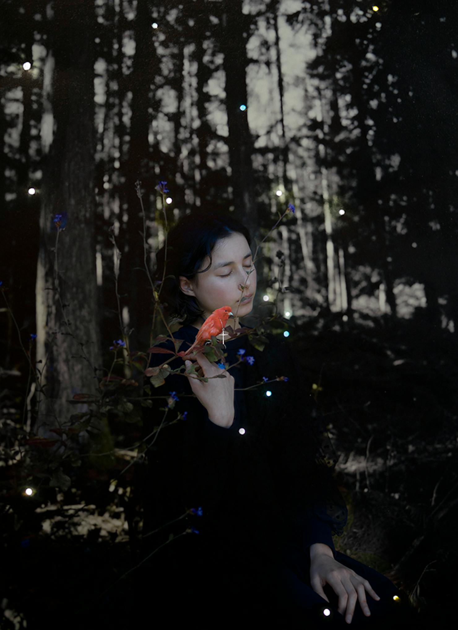 Carousel　　カルーセル