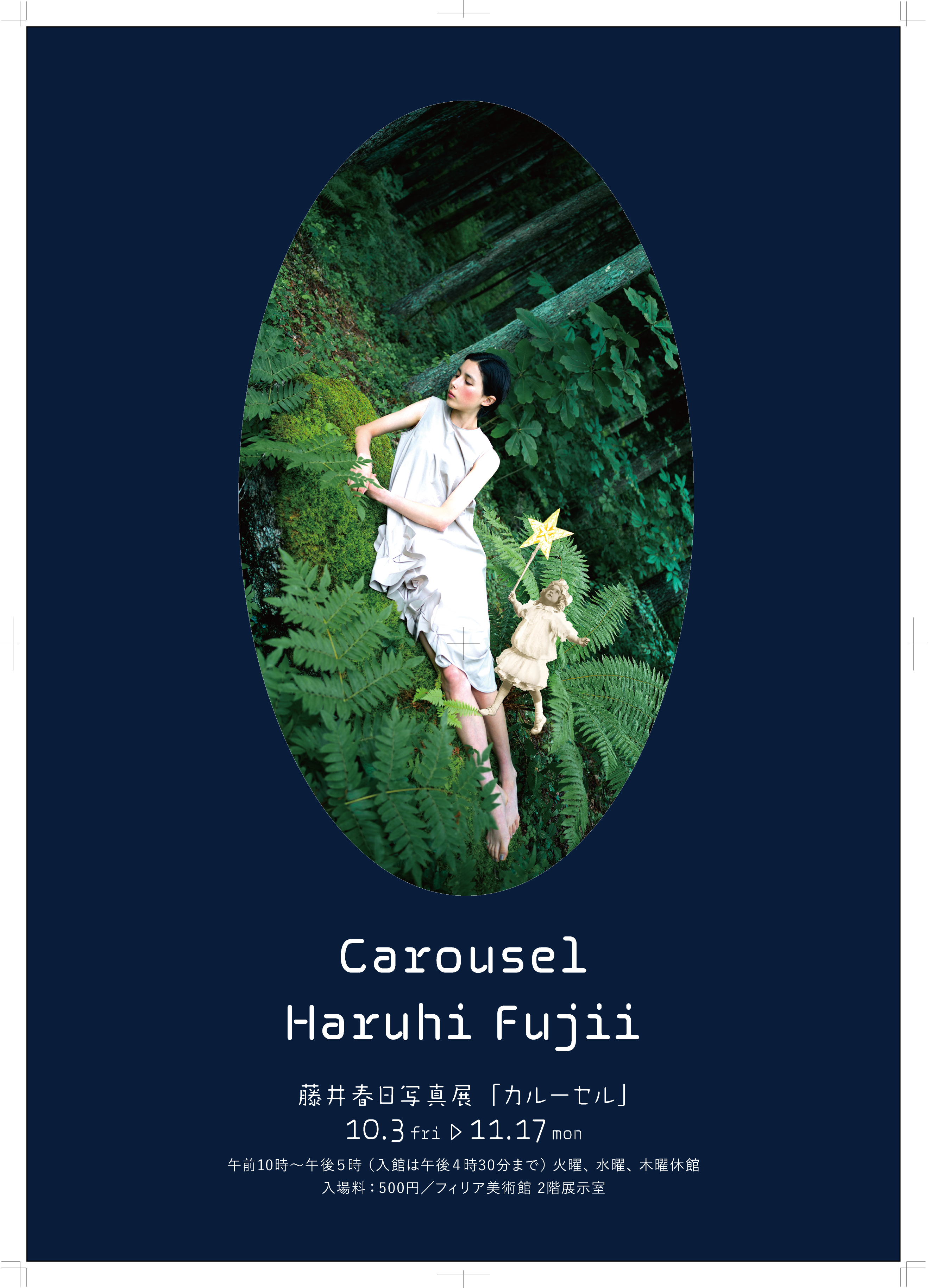 藤井範子、【春（なんてん）】、希少な額装用画集より、新品額装付、状態良好 藤井範子、【春（なんてん）】、希少な額装用画集より、新品額装付