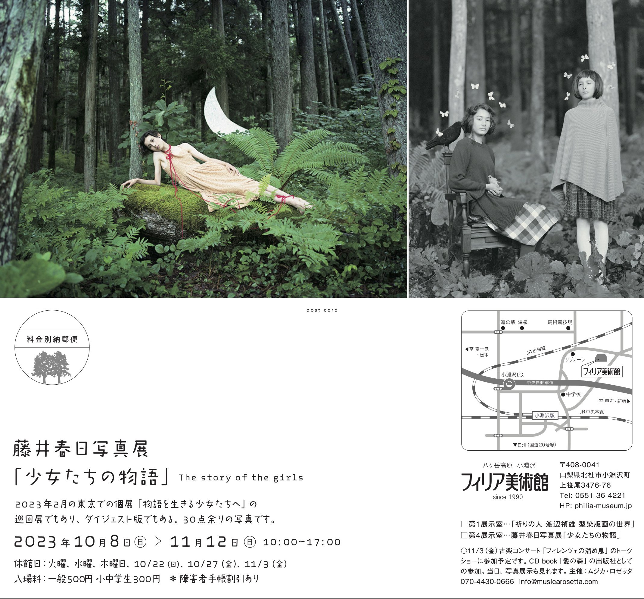 Infomation | 藤井 春日 | Haruhi FUJII