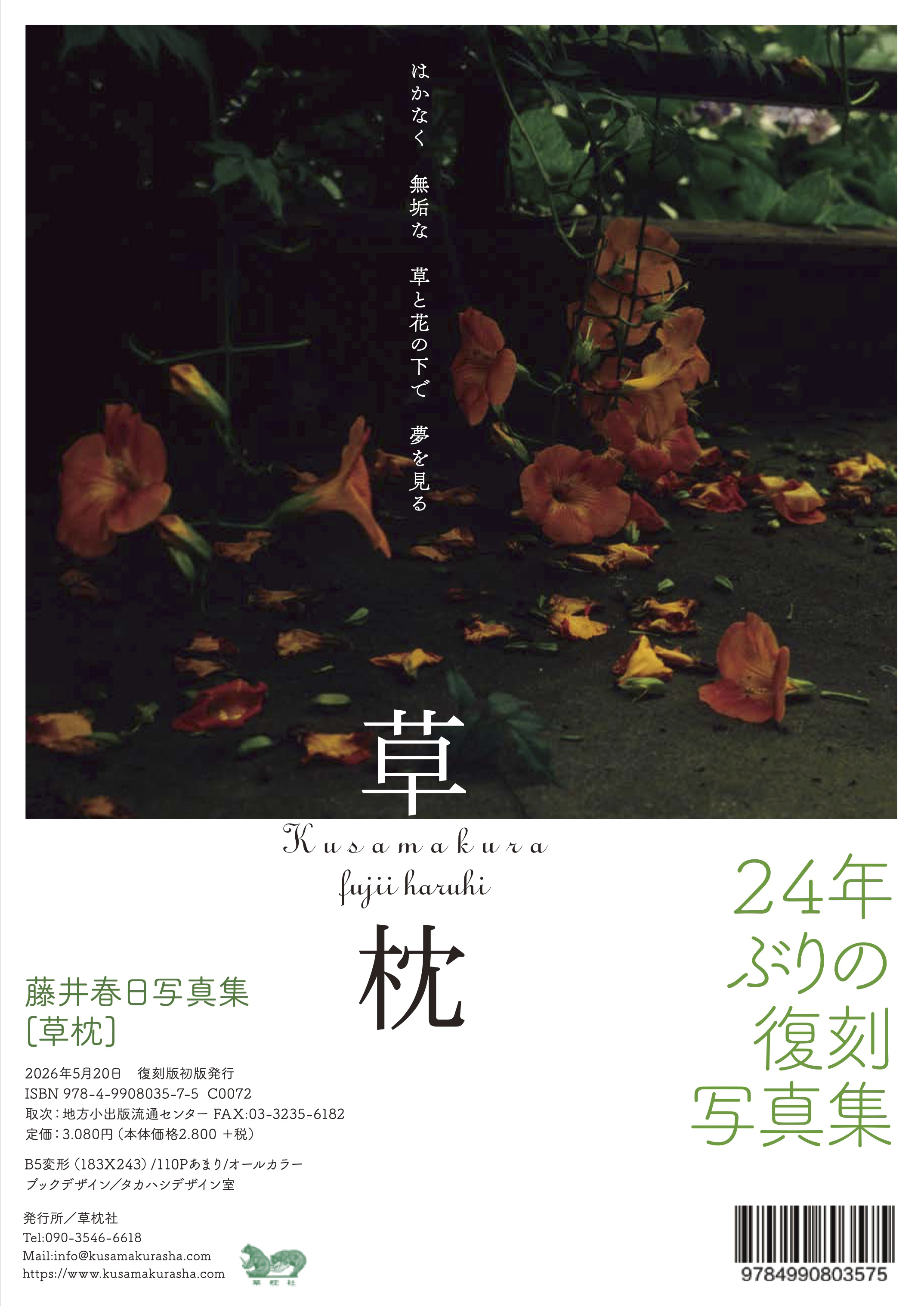 Infomation | 藤井 春日 | Haruhi FUJII